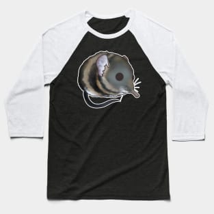 Elephant Shrew Baseball T-Shirt